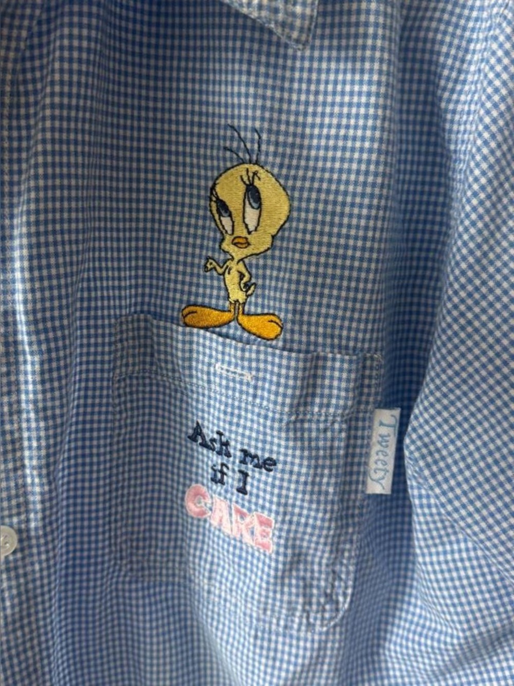 Warner Bros. Light Blue Gingham Button-Down Shirt with Tweety Embroidery